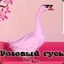Pink Goose