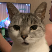 вахо бруклин