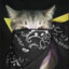 misfit