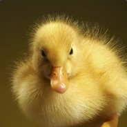 DA I MYDAC
