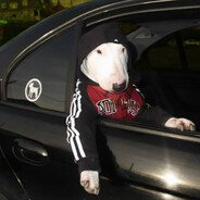 gavbl4 - steam id 76561198769169820