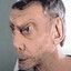 кадет шершень