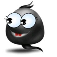 青蛙首席大弟子