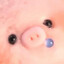 PiggyKiki