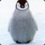 Pessimistic Penguin
