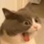 V1ncentLiao