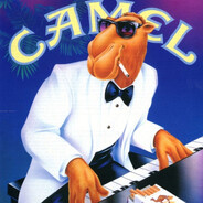 Beli Camel