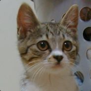 Kyoko - steam id 76561197962957778