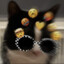 f1llua
