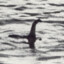 Nessie