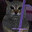 doryjok's Avatar