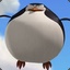 FatPanguin