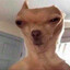 MASQUEICO