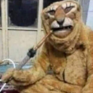 /usr/dice avatarı