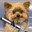 Killer Doggie