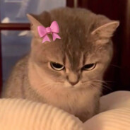 .KillerCat