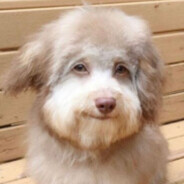 asm - steam id 76561199567353131