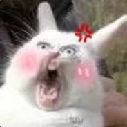 你是不是油猫病