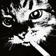smokes