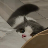 梦想成为原神高手