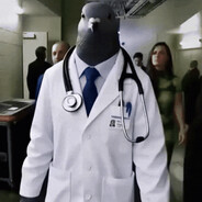 Doctor Pigeon