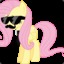 Fluttershy