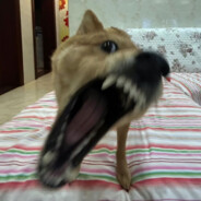 同学们 准备好学习了吗