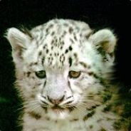 steko's avatar