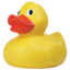 rubber duck