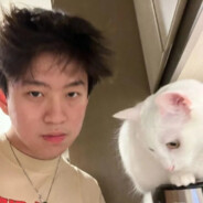 浦西市小熊猫111