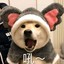 花某人
