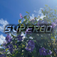 super80