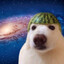 Джонни Додеп