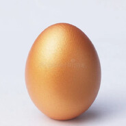 eggoslaw