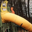 scenic sausage