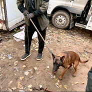 AAA专业套狗王哥