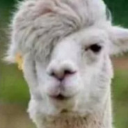 对方拆家，大哥在刷。