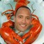 Dwayne The Rock Lobster
