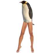 мэри чпокинс