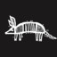 skinny_armadilo
