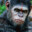 Mr_Monkey_Man's avatar