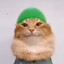 КОТЯ