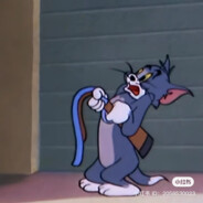 皮牙子放多多的