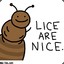 Lice Lice Baby