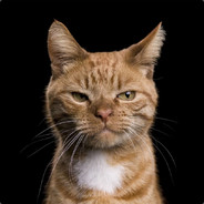 843995671