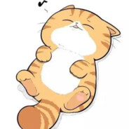 你们打伤害，我开枪装样子