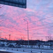 爱玩屎的阿拉蕾