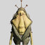 Ben Quadinaros
