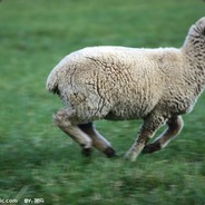 头好痒要长脑子了