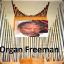 Organ Freeman